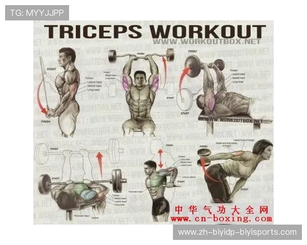 飞鸟健身器材：飞鸟训练器材的特点与肌群针对性讲解